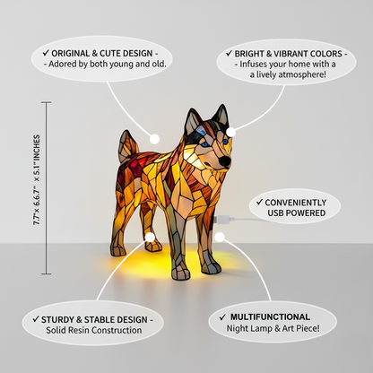 Nala Fortryllet Hund