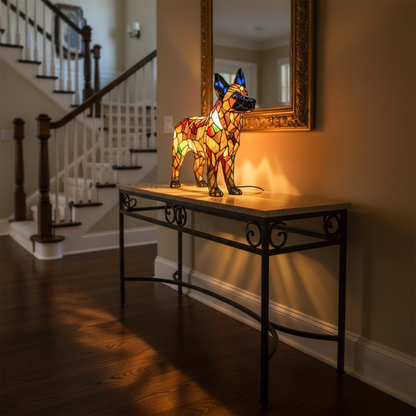 Aurora, den lojale huskyen med evig lys og hjemmekomfort